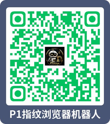 P1Browser 企业微信客服二维码